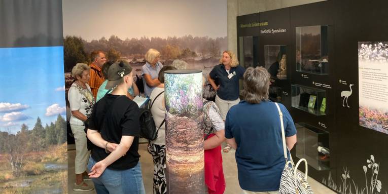 Menschen werden durch eine Ausstellung geführt.