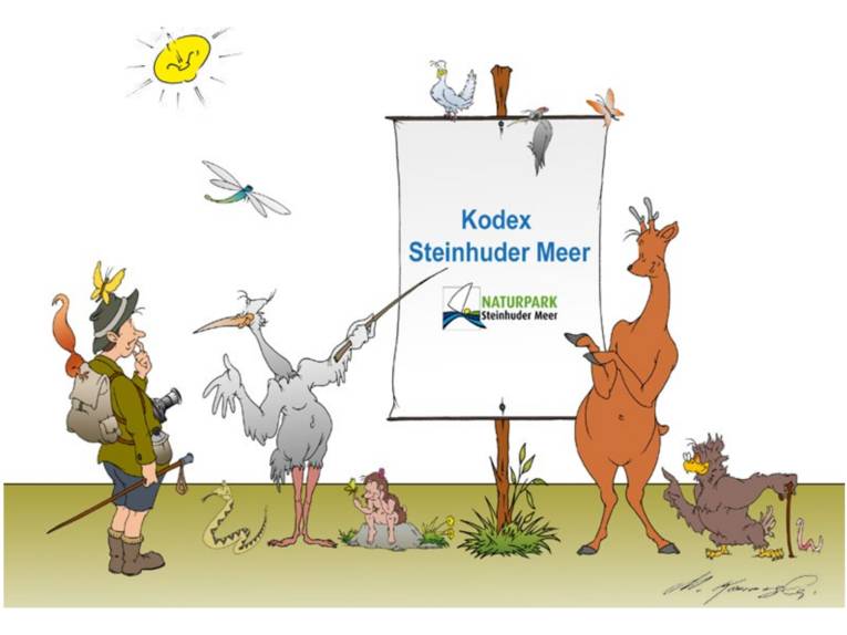 Gezeichnetes Motiv einer Postkarte: Tiere zeigen auf ein Flipchart, ein Wanderer schaut darauf. Auf dem Flipchart steht Kodex Steinhuder Meer.