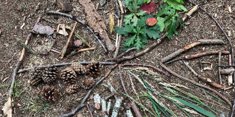 Naturmaterialien wie Zweige, Tannenzapfen, Blätter, Rinde und weiteres bilden ein Mandala auf Waldboden.