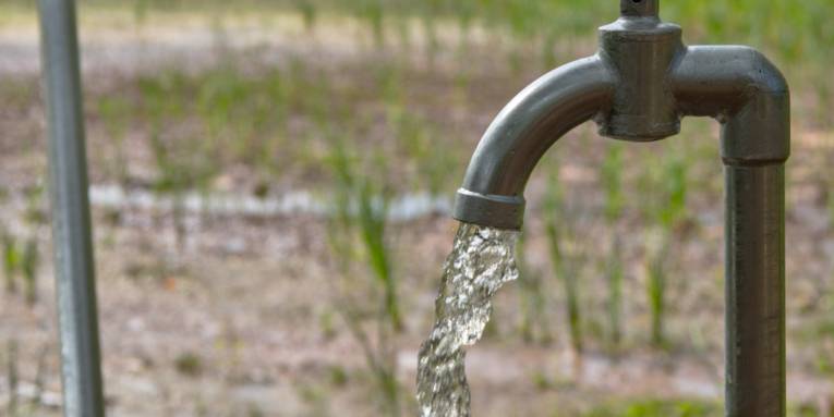 Wasser fließt aus einem Wasserhahn. Im Hintergrund sind Pflanzen auf einem Feld.