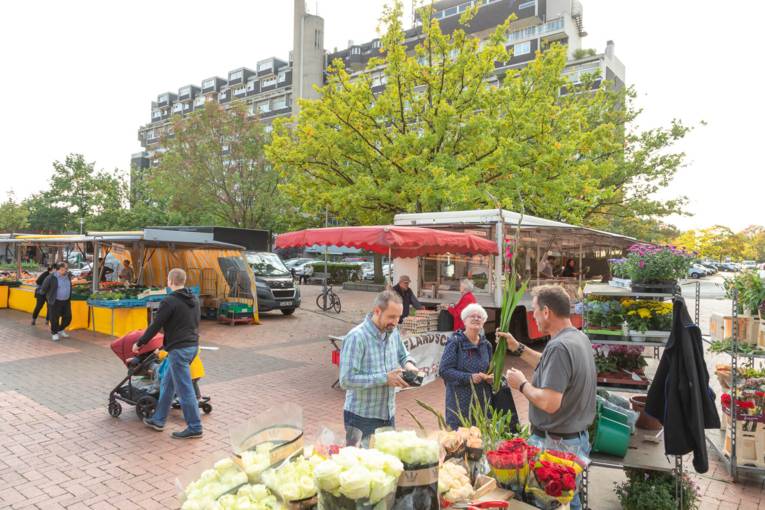 Impressionen vom Wochenmarkt Davenstedt: Stände, Verkaufspersonal und Kundschaft.