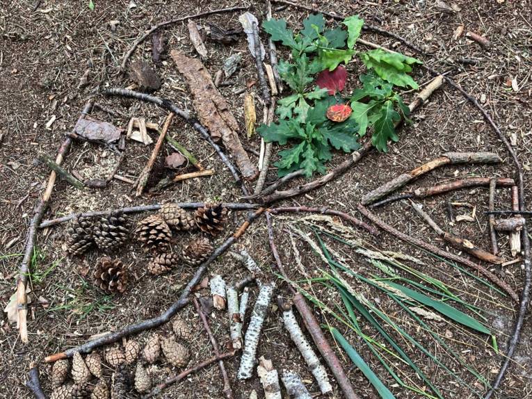 Naturmaterialien wie Zweige, Tannenzapfen, Blätter, Rinde und weiteres bilden ein Mandala auf Waldboden.