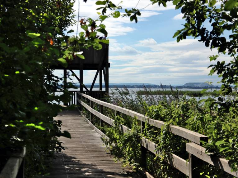 Blick vom Steg auf einen Aussichtsturm am Steinhuder Meer.