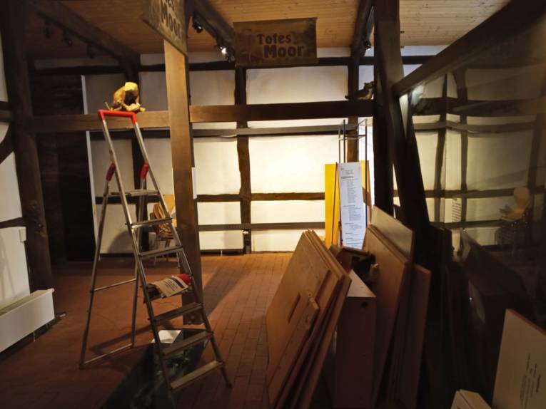 Erste Frühlingsboten blühen auf dem Waldboden, der nach dem Winter langsam wieder grünt. Im Hintergrund ist ein kleines Fließgewässer.