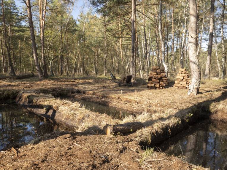 Rechteckige,mit Wasser gefüllte Becken in einer Waldlandschaft, dahinter Torfsoden