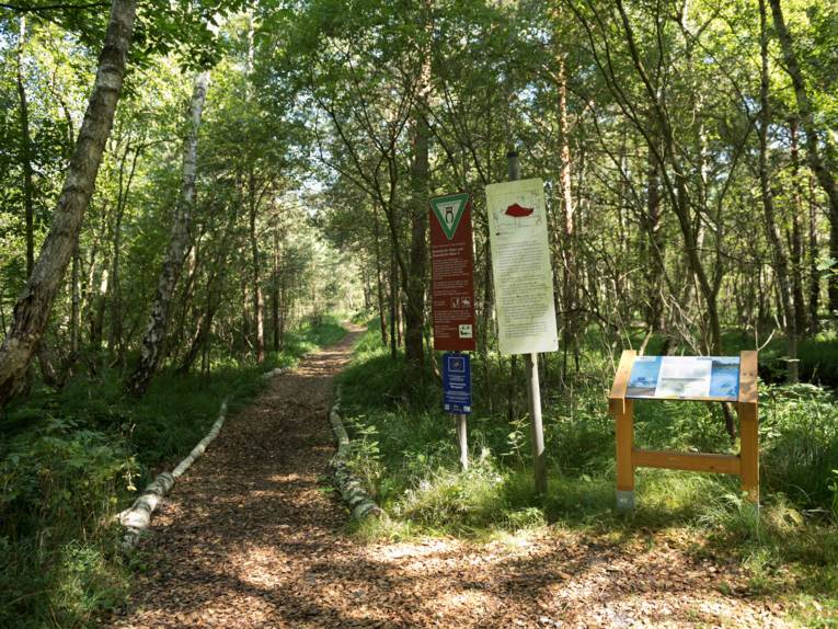 Die Moorroute