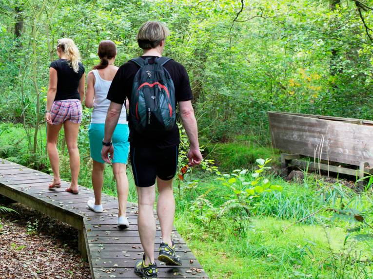 Drei Personen benutzen einen Holzsteg, um das Moor im Naturpark Steinhuder Meer zu erkunden.