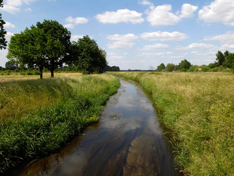 Die Wietze zwischen Feldern