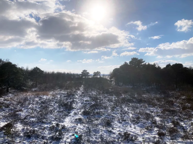 Die Landschaft wirkt vom Schnee wie mit Zucker best&auml;upt.