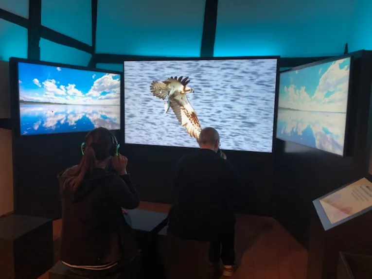 Eine Besucherin und ein Besucher nutzen das Diorama in der Infoscheune Steinhude. 