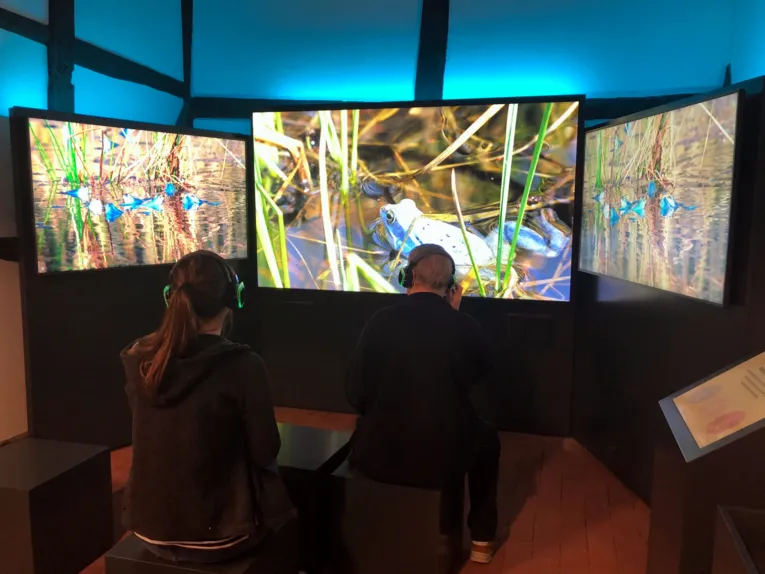Eine Besucherin und ein Besucher nutzen das Diorama in der Infoscheune Steinhude. 