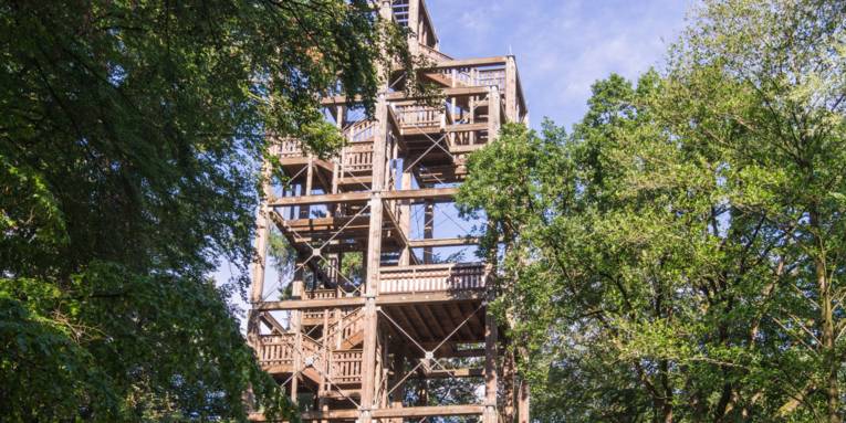 Ein Holzturm in der Eilenriede.