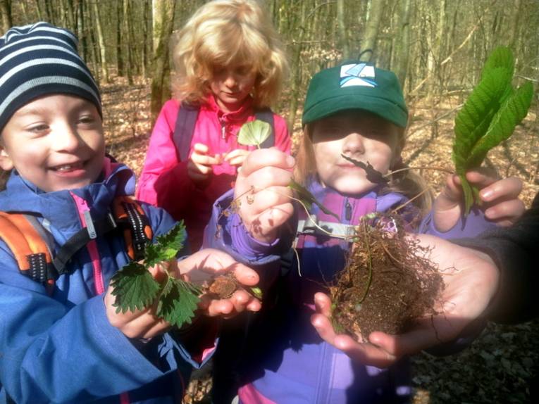 Drei Kinder halten Pflanzen oder Teile davon in ihren Händen.