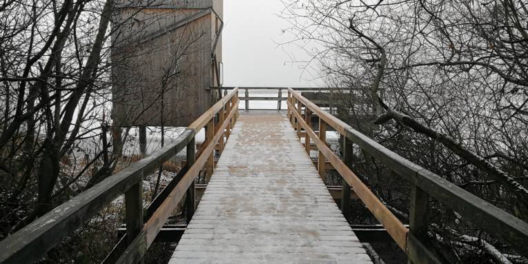 Blick über den Steg am Winzlarer Aussichtsturm vorbei auf das Steinhuder Meer. Auf dem Steg liegt etwas Schnee, darin sind Fußspuren.