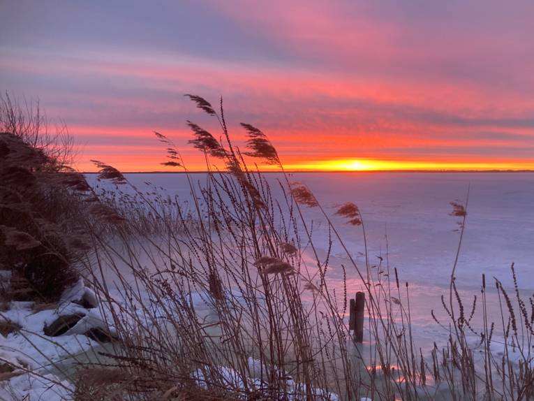 Die aufgehende Sonne taucht die verschneite Landschaft am Steinhuder Meer in rote und rosige Farben.