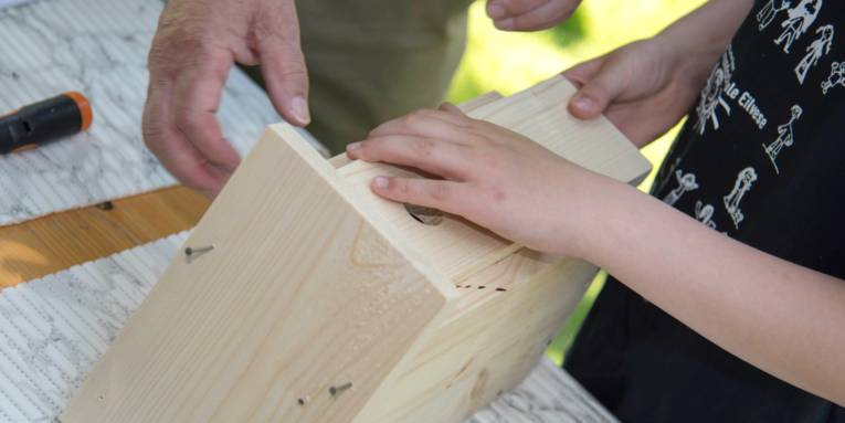 Hände eines älteren und eines jüngeren Menschen bauen an einem Nistkasten aus Holz.