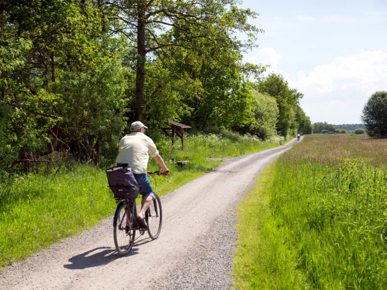 Ein Mann fährt auf einem Fahrrad durch grüne Landschaft.