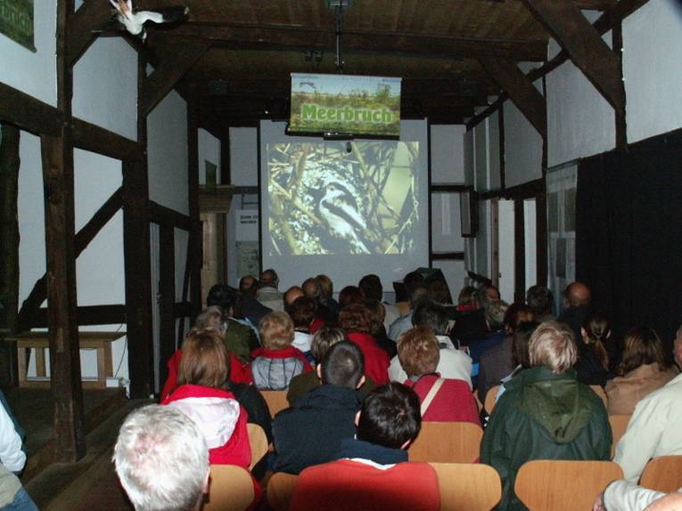 Menschen sitzen auf Stühlen und schauen einen Tierfilm auf einer großen Leinwand.