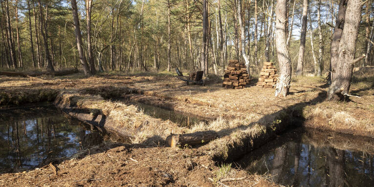 Rechteckige,mit Wasser gefüllte Becken in einer Waldlandschaft, dahinter Torfsoden Rechteckige,mit Wasser gefüllte Becken in einer Waldlandschaft, dahinter Torfsoden