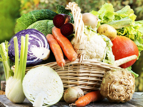 Verschiedenes Gemüse, wie Rotkohl, Weisskohl, Möhren, Kartoffeln, Lauch und mehr, in einem geflochtenen Korb Verschiedenes Gemüse, wie Rotkohl, Weisskohl, Möhren, Kartoffeln, Lauch und mehr, in einem geflochtenen Korb