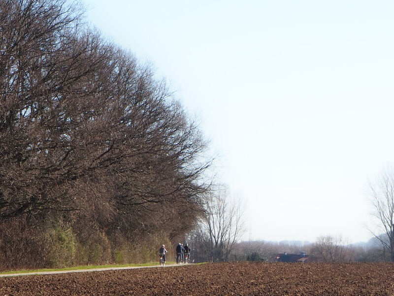 Mehrere Menschen fahren auf Fahrrädern auf einem Fahrradweg entlang eines Ackers. Mehrere Menschen fahren auf Fahrrädern auf einem Fahrradweg entlang eines Ackers.