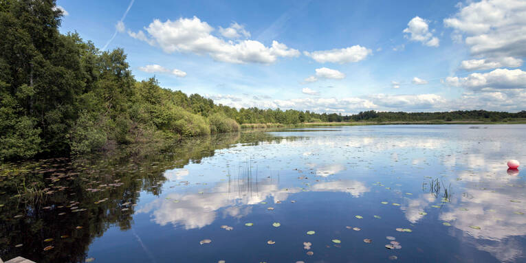 Das Steinhuder Meer bei sonnigem Wetter. Das Steinhuder Meer bei sonnigem Wetter.