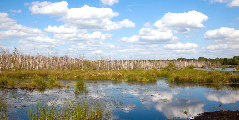 Blick auf ein Hochmoor, der Himmel spiegelt sich in der Wasseroberfläche. Blick auf ein Hochmoor, der Himmel spiegelt sich in der Wasseroberfläche.