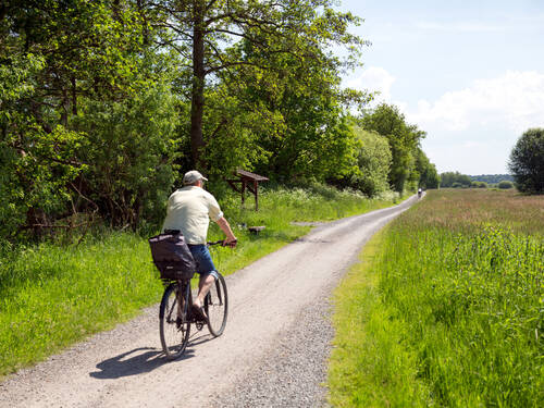 Ein Mann fährt auf einem Fahrrad durch grüne Landschaft. Ein Mann fährt auf einem Fahrrad durch grüne Landschaft.