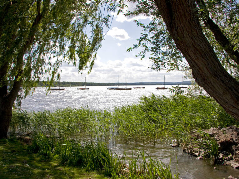 Blick von einem Spazierweg aus auf das Steinhuder Meer. Links und rechts stehen Bäume, deren Krone ein Sichtfenster auf das Gewässer freigeben. Auf dem Wasser ankern Segelboote. Blick von einem Spazierweg aus auf das Steinhuder Meer. Links und rechts stehen Bäume, deren Krone ein Sichtfenster auf das Gewässer freigeben. Auf dem Wasser ankern Segelboote.